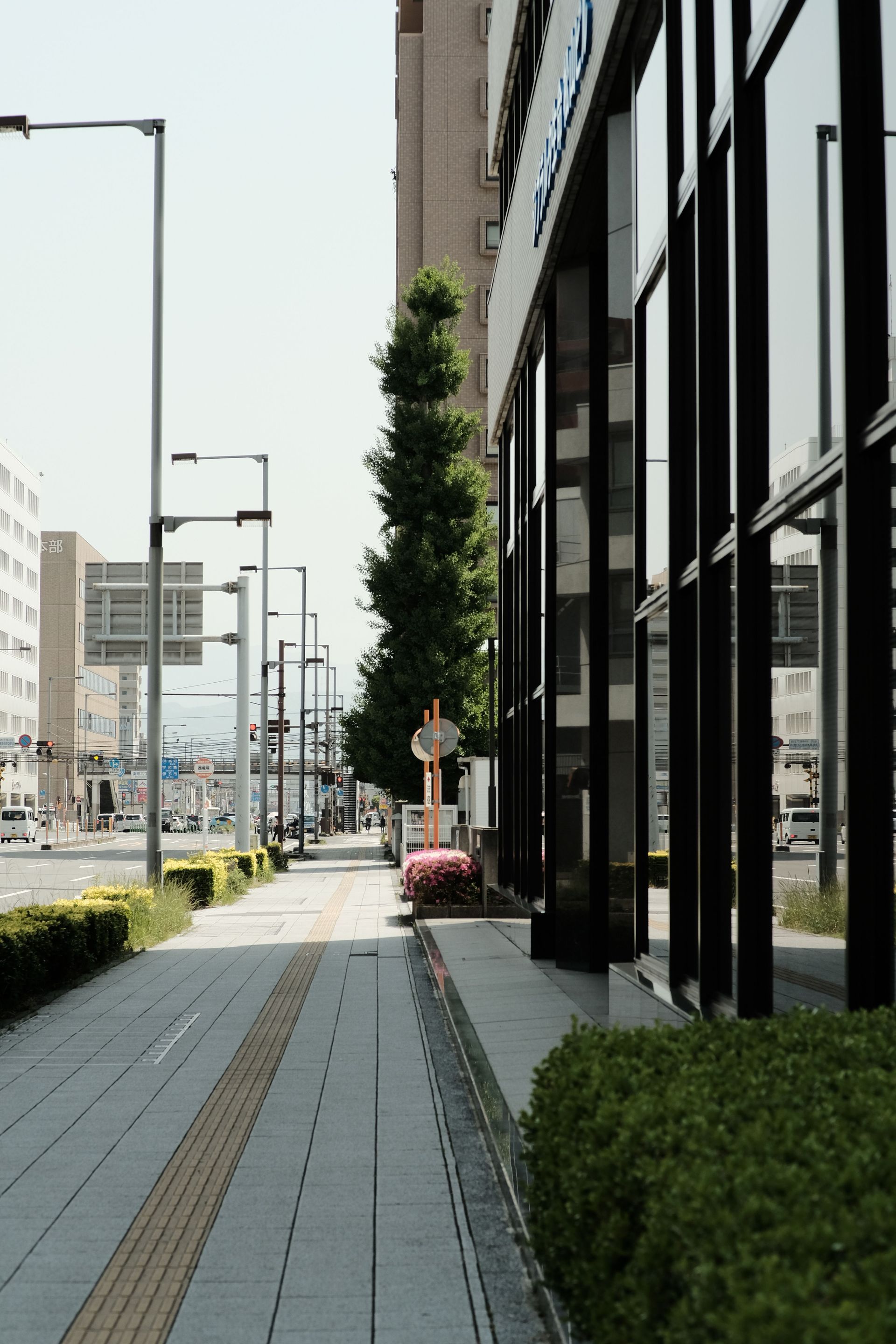 A quiet urban sidewalk alongside modern glass buildings and trees on a sunny day.