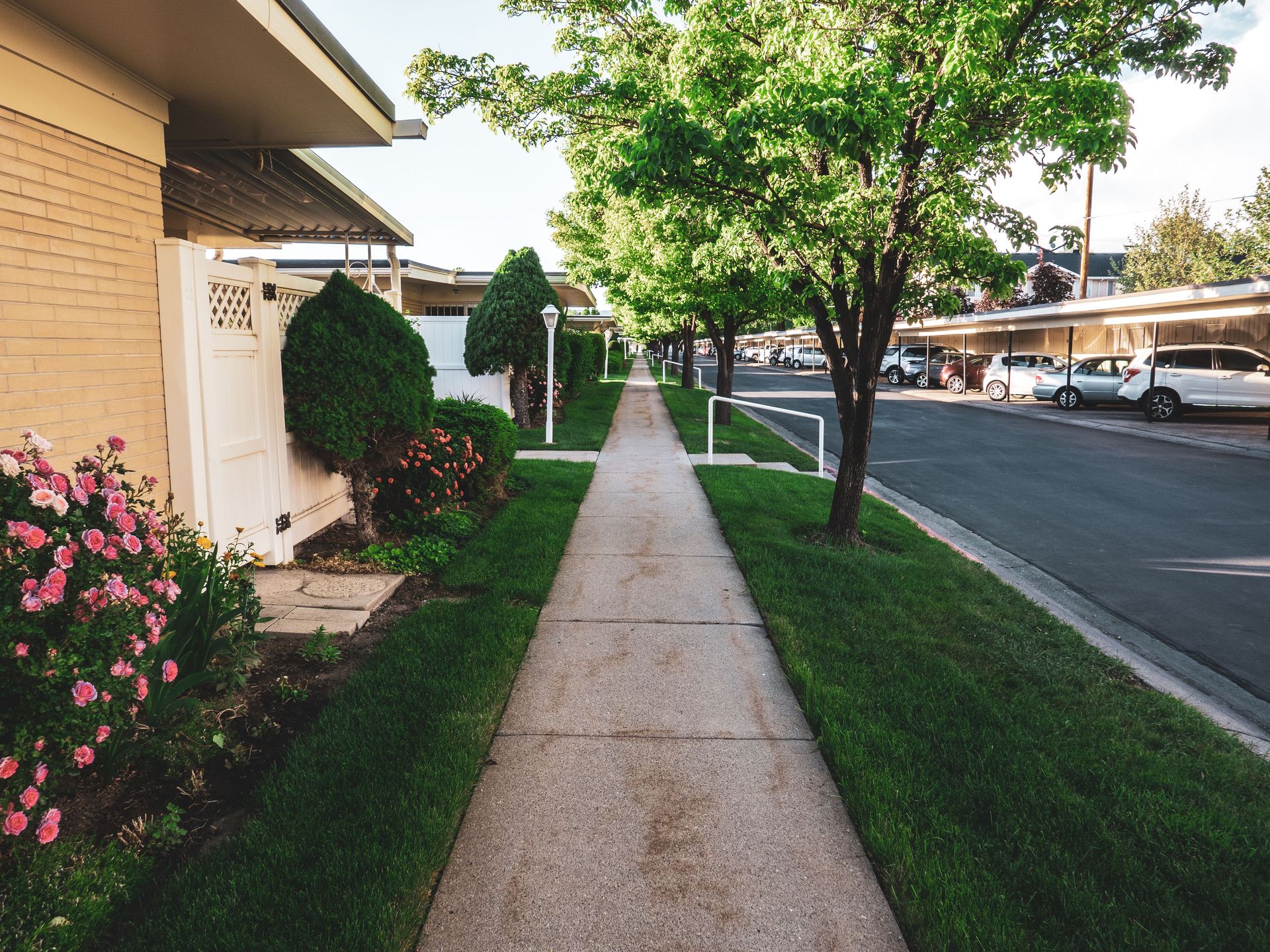 Lush residential area with sidewalks, trees, and parked cars on a sunny day.